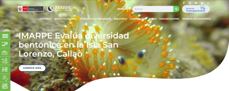 Captura de pantalla 2025-07-07 134351